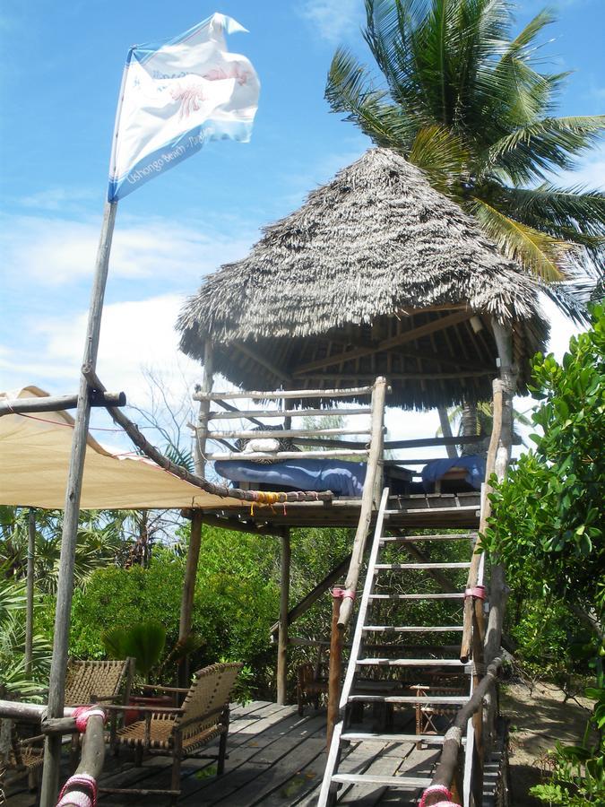 The Beach Crab Resort Pangani Exteriér fotografie