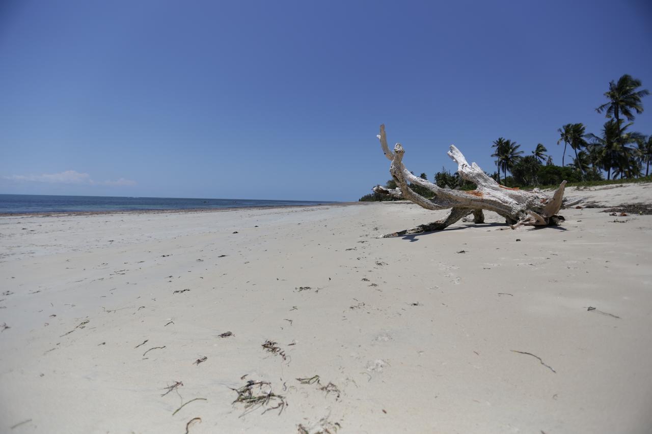 The Beach Crab Resort Pangani Exteriér fotografie